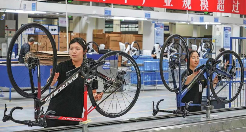 他们在对抗